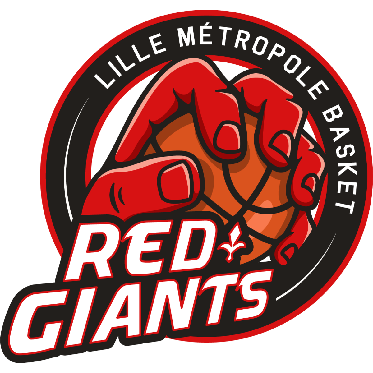 logo de l'équipe : Lille