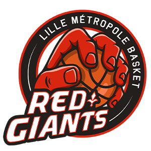 logo de l'équipe : Lille